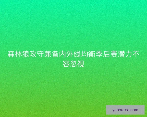 森林狼攻守兼备内外线均衡季后赛潜力不容忽视