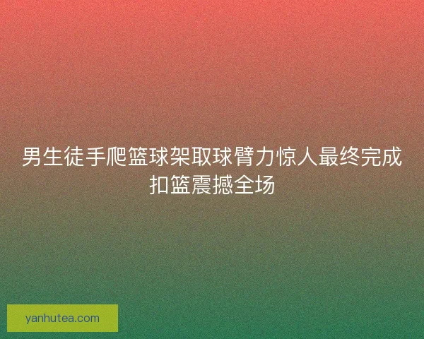 男生徒手爬篮球架取球臂力惊人最终完成扣篮震撼全场