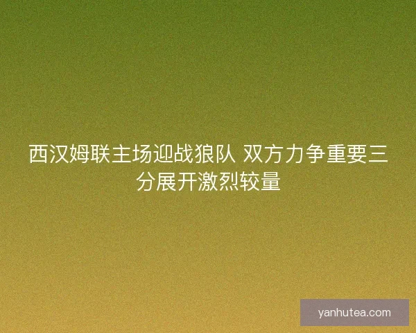 西汉姆联主场迎战狼队 双方力争重要三分展开激烈较量