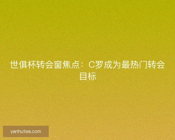世俱杯转会窗焦点:C罗成为最热门转会目标 世俱杯转会窗焦点:C罗成为最热门转会目标